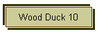 Wood Duck 10