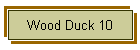Wood Duck 10